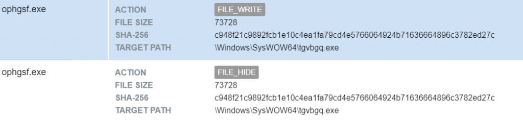 Figure 5 – Process ophgsf.exe copies itself to another location then hide it